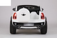 Mini Beachcomber (  ) 