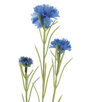 ������ ������������� �������, L7 W5 H68 ��, 2�.