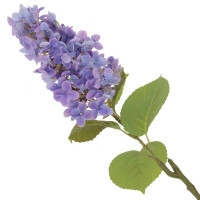    (real Touch), L12 W12 H75 