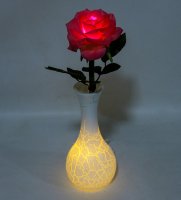 Lp-10     Led-