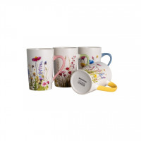 Stm001 ����� ������ Meadow 4�� 380��