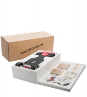 Fo-85054  The Champion. Forchino