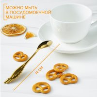      Magistro Wings,  14 ,  