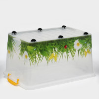     hide Box. , 50 , 60x38x31 ,  , 