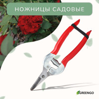  , 7 (18 ),   ,  , , Greengo