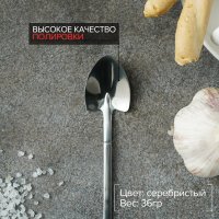      Magistro ,  15,5 ,  ,  