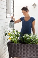  Keter Easy Grow,  
