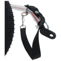 ����������, ���� �������