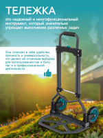   , ,   60 , , , Greengo