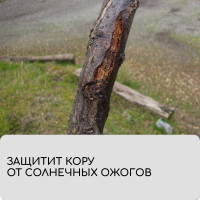  , 10 0.08 ,  60 / ,   -, , Greengo,  20%