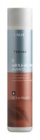 Gentle Balance Shampoo (300 )