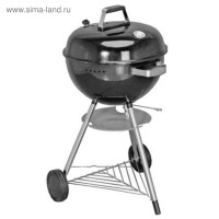 ����� �k181