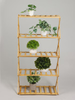    Greengo, 5 , 50 25 89 , , 