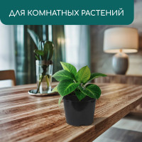   , 2 , D = 17,5 , H = 13 , , , Greengo