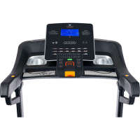    Titanium Masters Physiotech Tlf