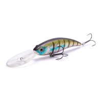  Namazu Scylla, L-120 , 34 , , , , 5.5-7.5 ,  6