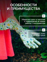  , ,   ,  10,  , Greengo