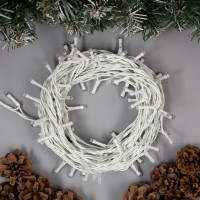   10 , Ip44,  , 100 Led,  , 8 , 220 