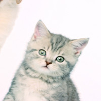   3 Take It Easy  : , 45 40 