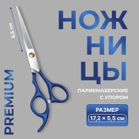     Premium,   6.5 , , 