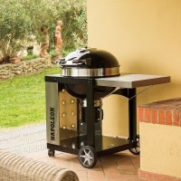   Napoleon Pro22k-cart