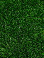  ,  ,  40 , 2 5 , , Greengo