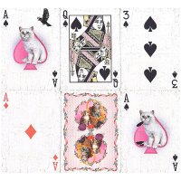  Ellusionist Madison Kittens