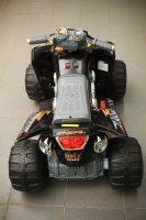   Neotrike Quadro Beach