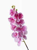 ����� ������������� �������� ���������, H=90 ��, ����-���������