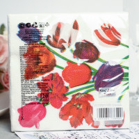   New Line Fresco , 2 , 33*33 , 20 .