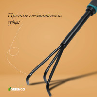  Greengo,  36 , 3 ,   