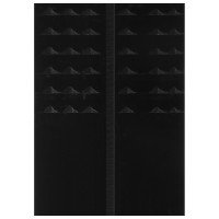 ���� ������-����������� �������, 145 ��, � ��������