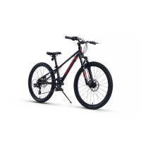  24 Maxiscoo 7bike M300,  