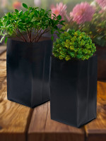   , 3 , 11 30 , ,  60 ,  , , Greengo