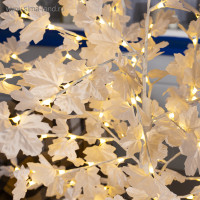     1.6 , 160 Led,  , 220 ,   