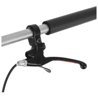 ����������, ���� �������