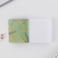 ���������� �����, ������� 125 ������ � ����� �������, ����� ����� 0.7 �� ��������� ��������