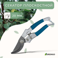  , 8 (20 ), C  , Greengo