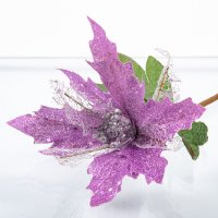 ������������ ��������� ������ 30��