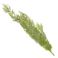 ����� ������������� ������, L15 W15 H80 ��