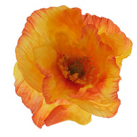 ������ ������������� ���, L17 W9 H73 ��