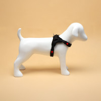  7  ,  S,  44-55 ,  5-9 , 