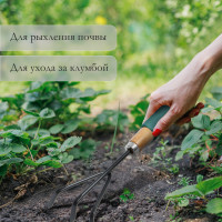 ��������� Greengo, ����� 30.5 ��, 3 �����, ���������� ����� � ���������