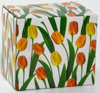,  350, New Bone China,   