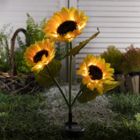   , ,   , 70 , 30 Led,   