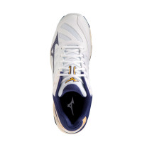    Mizuno Wave Voltage,  11,5 Us