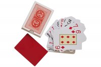    "Poker Night Pro" 100% 