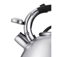 ������ Regent Inox Tea, �� ��������, 5 �