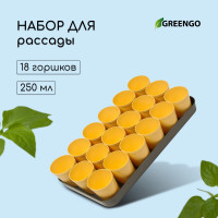   :   250  (18 .),  40 20 ,  , Greengo
