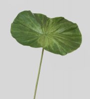 Tr 596l ���� ������